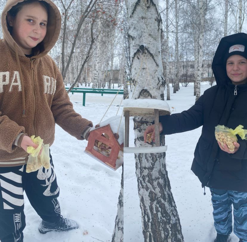Покормите птиц зимой.