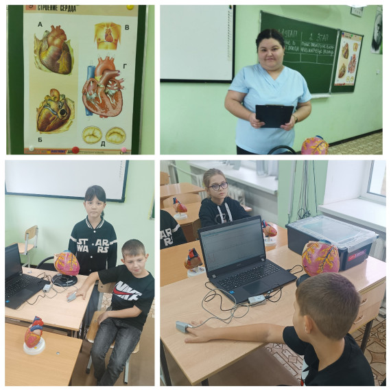 Каникулы с пользой. Центр "ТОЧКА РОСТА".